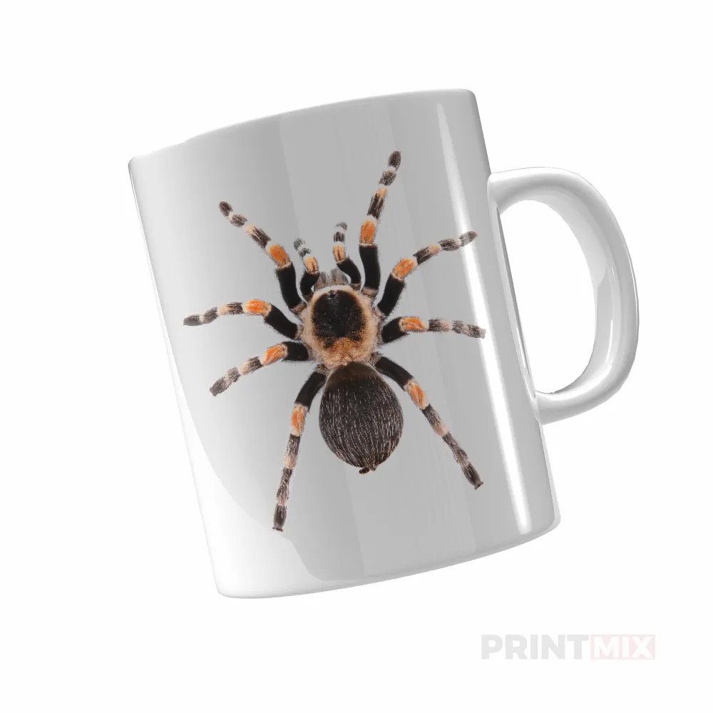 Mexikói tűzlábú tarantula – Bögre