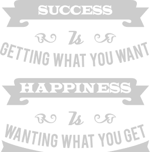 Success is getting what you want
