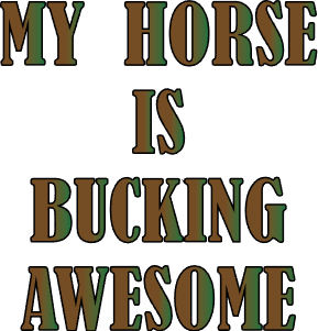 My horse is buckingh awesome