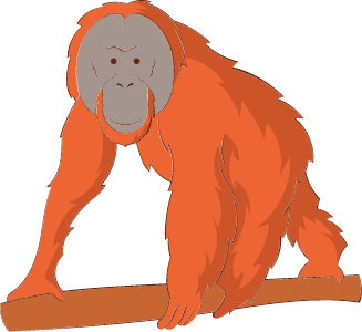 Orángután