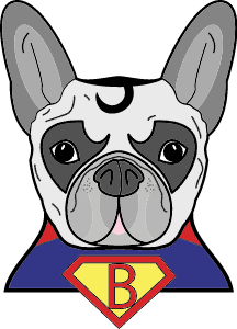 Superman bulldog