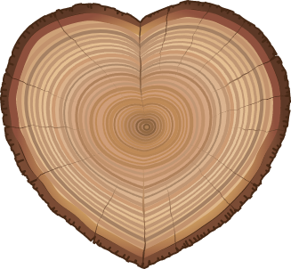 Fa évgyűrűs szívecske