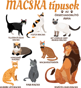 Macska típusok
