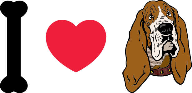 I love basset hound