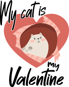 My cat is my Valentine