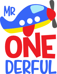 Mr Onederful