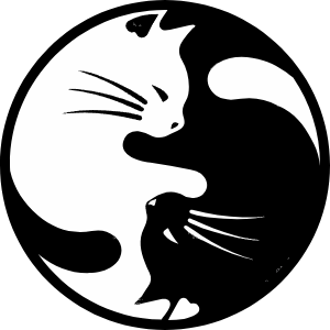 Macska yin yang