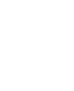 Healthy apple