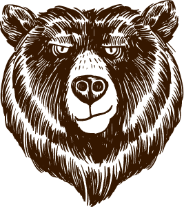 Medve fej