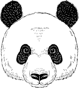 Pandafej